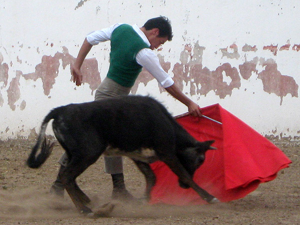 Elegante, Cristian Hern�ndez