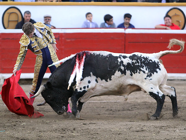 Saboreando la bravura