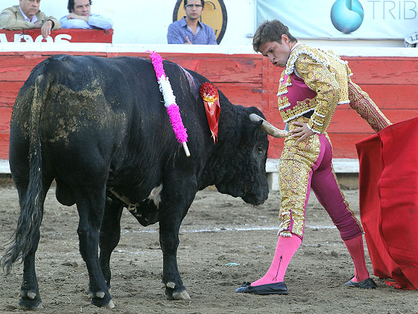 Metido entre los pitones