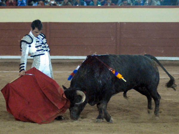 Asentado en los ri�ones