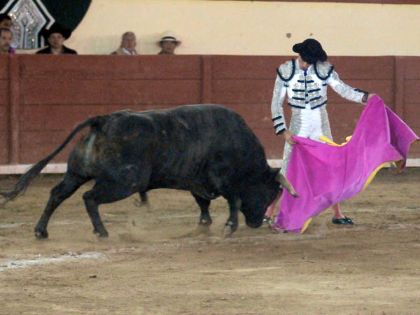 Mac�as a la ver�nica