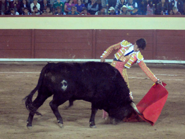 Naturales salmantinos