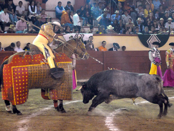 La vara de Paco Salinas