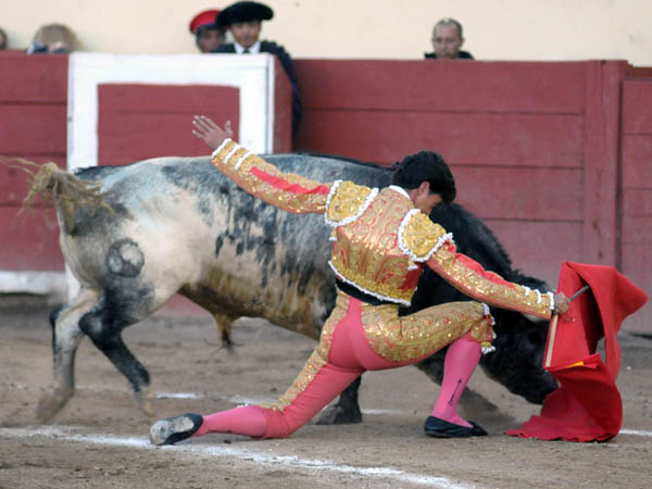 Doblones al berrendo