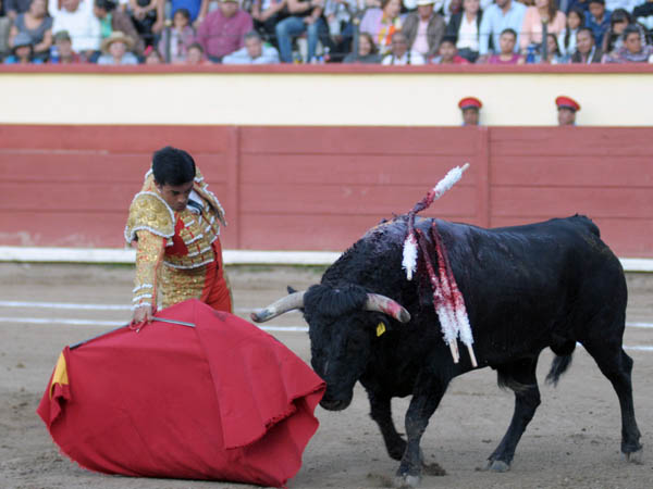 La cabeza a media altura