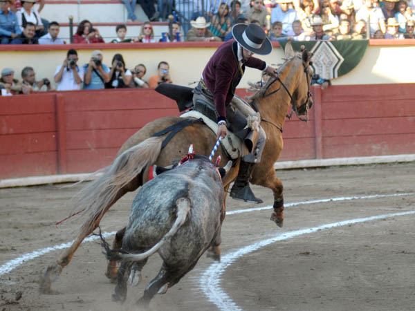 Tirando del ejemplar