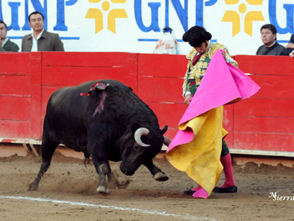 Un torero fiel a su concepto