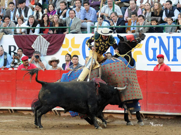 David, ovacionado en la vara