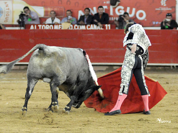 Lo estaba cuajando con una largueza