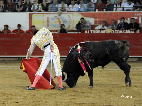 Ah� queda su proyecci�n