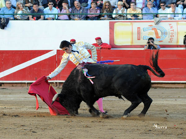 Nuevo matador hidroc�lido