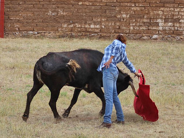 Alargando el muletazo