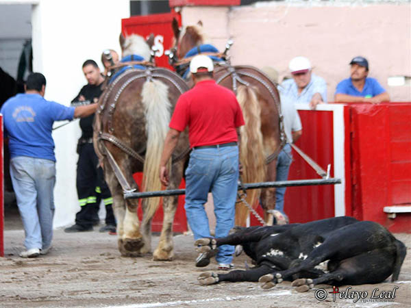 Arrastre lento a los restos
