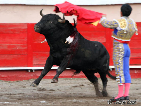 Ep�logo de estatuarios