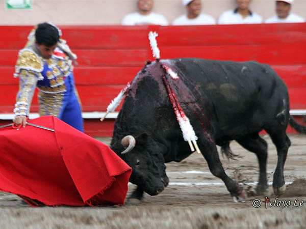 Embarcando al ejemplar