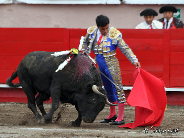 Suavidad en la muleta