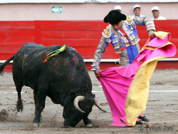 Las navarras de Rafa