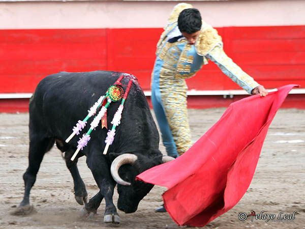 Naturales tlaxcaltecas
