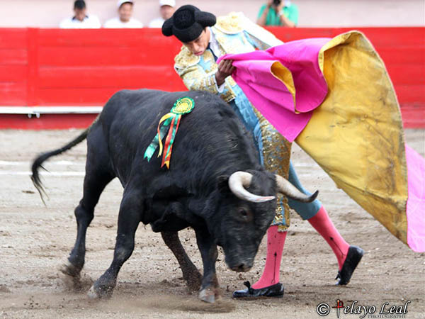 Variedad en los quites