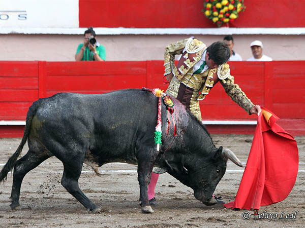 La muleta con las yemas