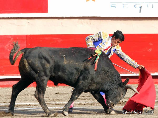 Ayudados en el tercio