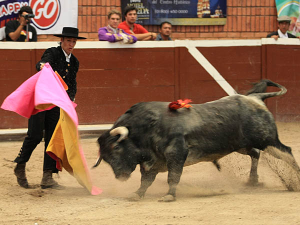 Christian Aparicio, con su novillo