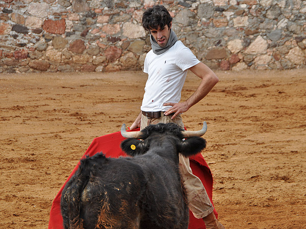 Talavante, descifrando