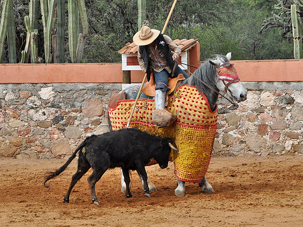 Empujando con bravura