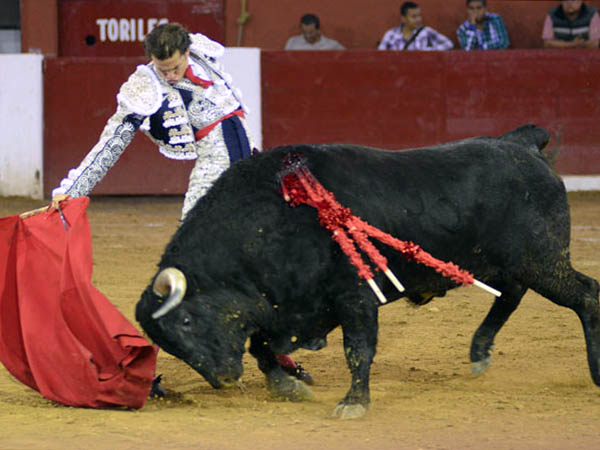 Personal estilo de Sald�var