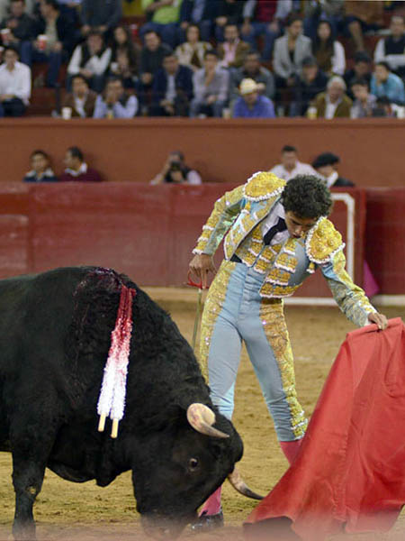 Muleta con las yemas