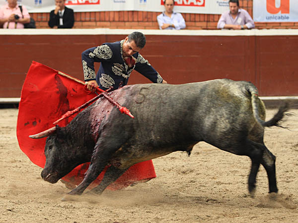 La vitolina de Teodoro