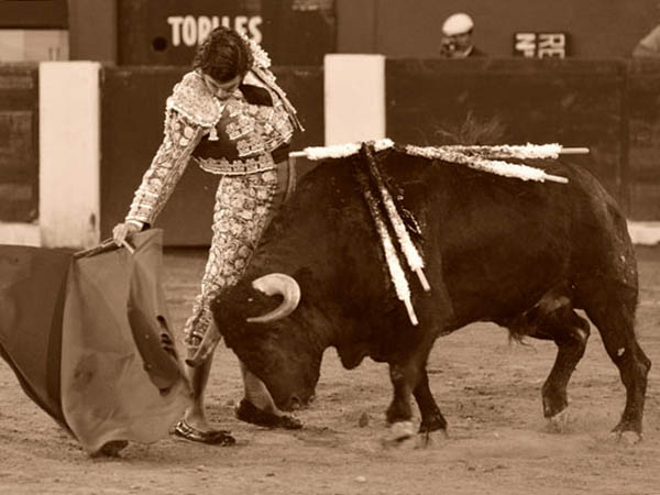 La barbilla encajada