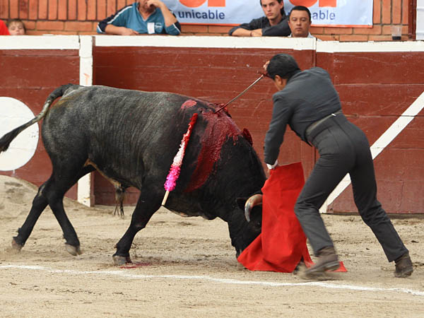 Pero fall� con el estoque