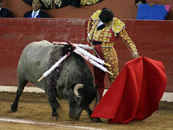 Izquierda morantista