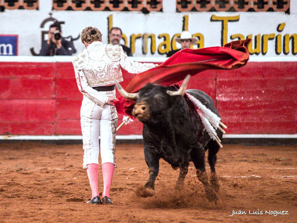 Colof�n de manoletinas