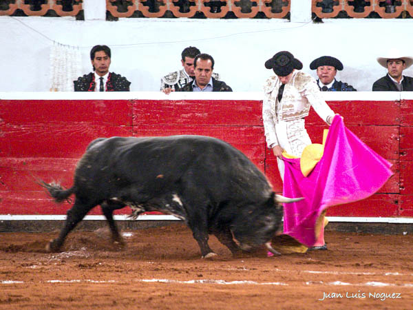 Buen ejemplar el octavo