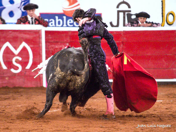 Gan�ndose el favor popular