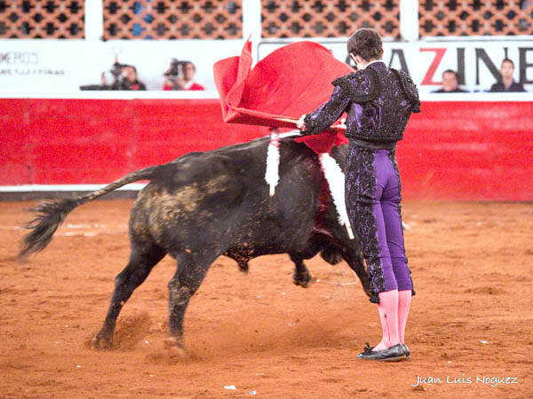 Estatuario de inicio