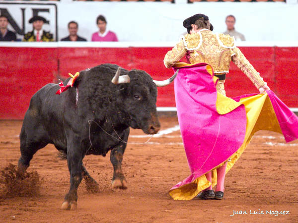 Chicuelinas madrile�as