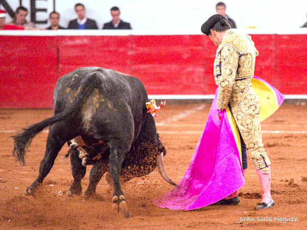 Se vio a gusto con el capote