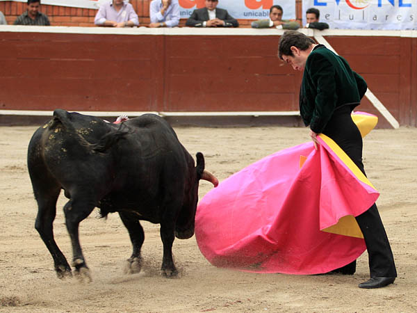 El arte de Capetillo