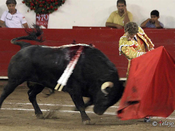 Le exprimi� algunos pases