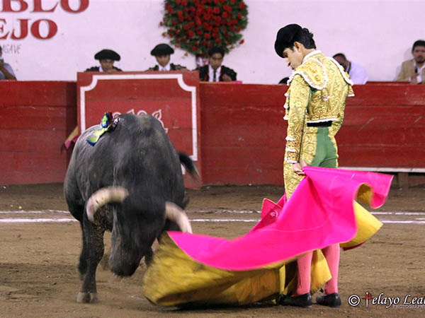 Puso alma vida y coraz�n