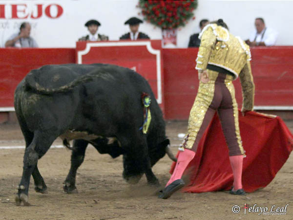 No escatim� en actitud