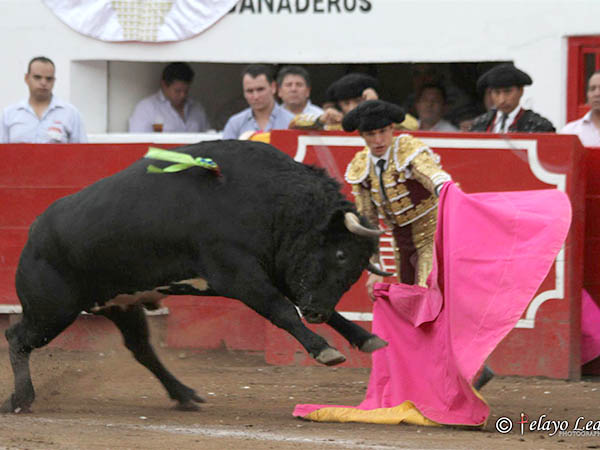 Gener� gran espectaci�n