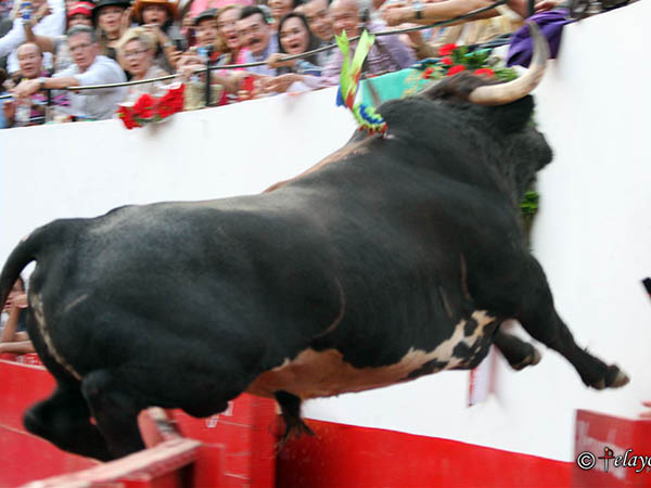 Susto a los del callej�n