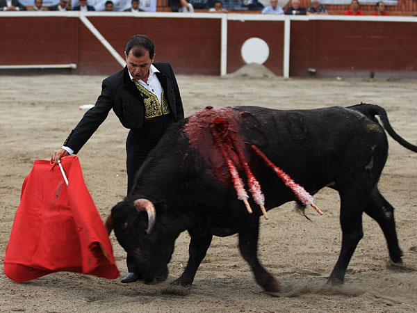 Bien llevando la embestida