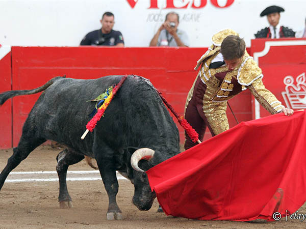 Disposici�n y responsabilidad