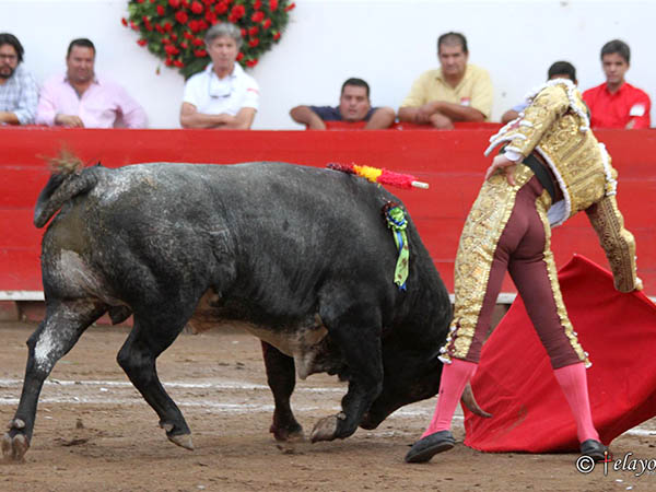 El p�blico le apret�