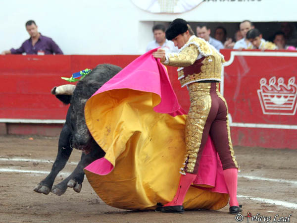 Al fin regres� a la 